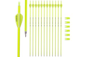 BOWSOUL Carbon Arrow Archery 30inch Bright Colors Hunting Target Practice Arrows for Compound & Recurve Bow Spine 500 with Removable Tips (Pack of 12)