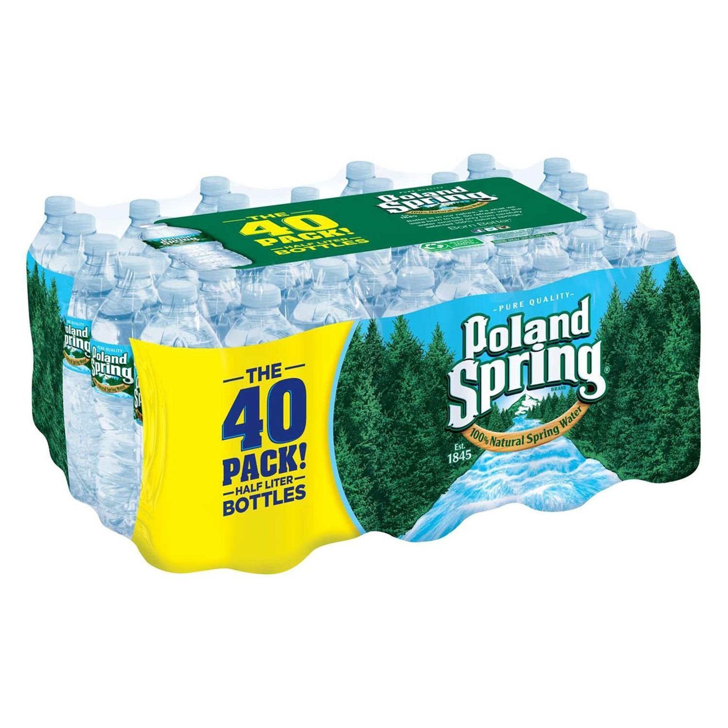 Poland Spring 100 Natural Spring Water (16.9 oz. bottles, 40 pk