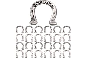 RoundFunny 24 Pcs Horseshoe, Good Luck Pocket Token Charm Coin with Good Luck Pewter Tokens for Lucky Party Favor