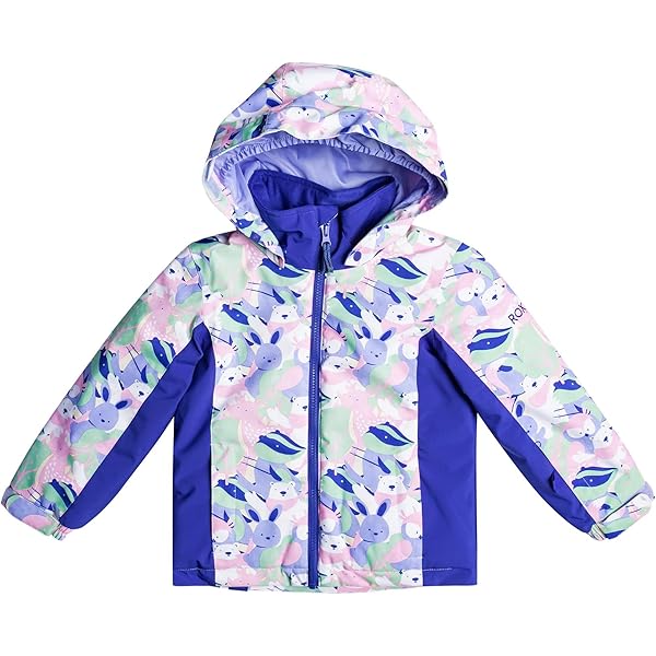 Amazon.com: Roxy Little Girls Heidi Snow Jacket with DryFlight