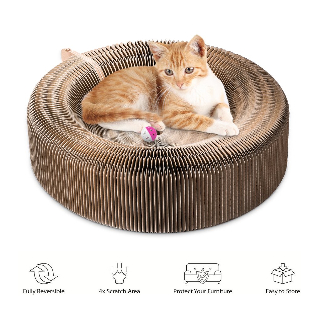 Best Cat Scratchers Home Decor