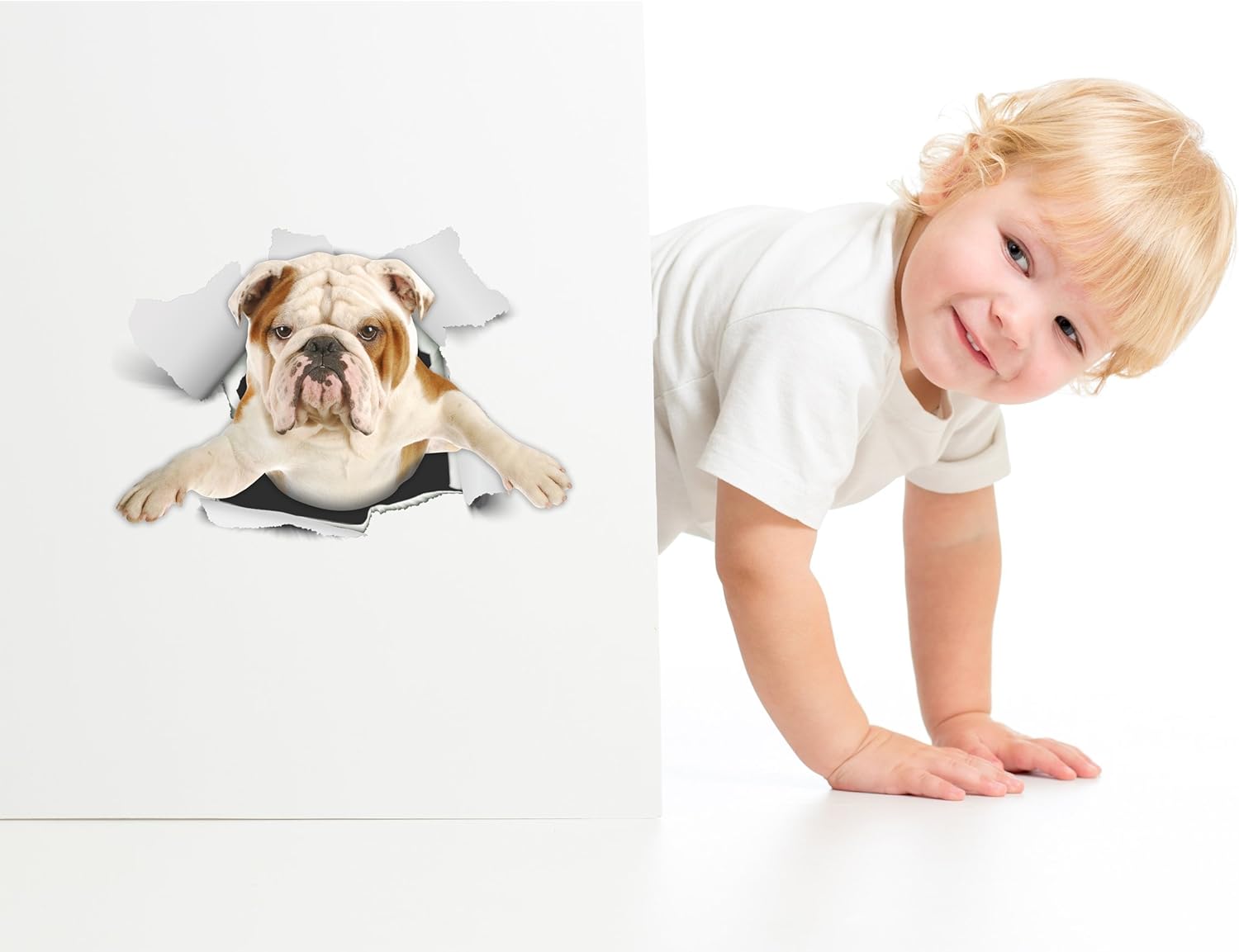 Mediapedia Pty Ltd Winston & Bear 3D Dog Stickers - 2 Pack - British Bulldog Sticker for Wall, Fridge, Toilet… - Image 4