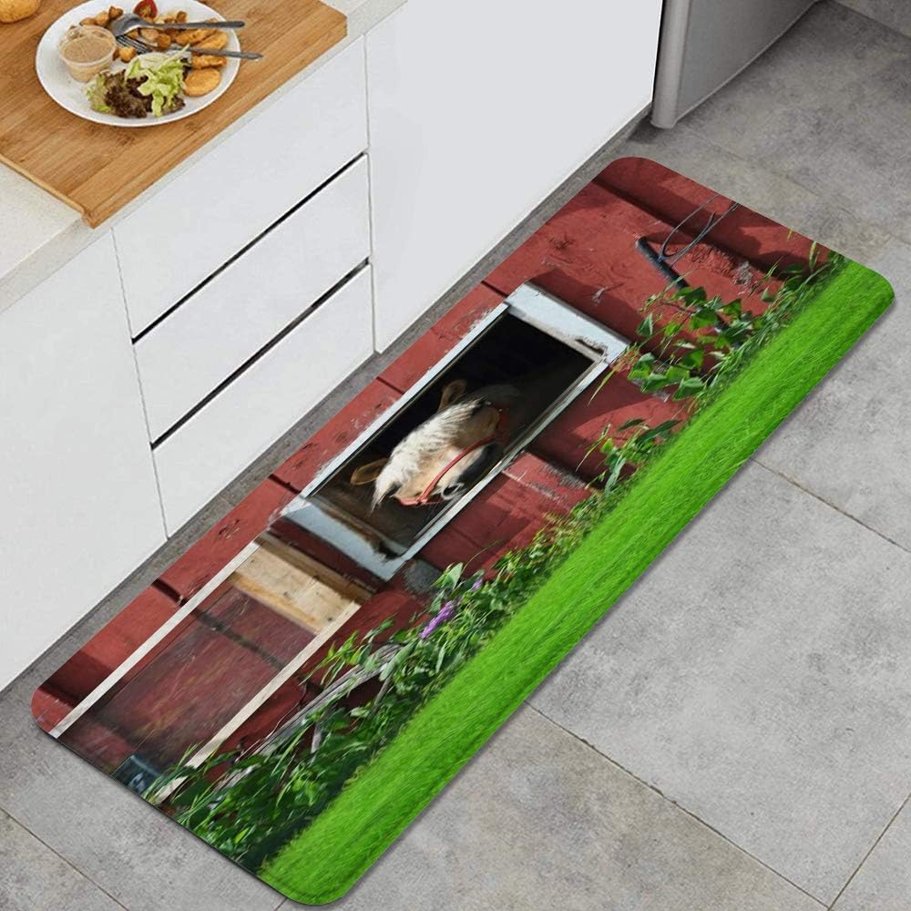 PANILUR Alfombras para Cocina Baño de Cocina，Granja Fotografía Hierba