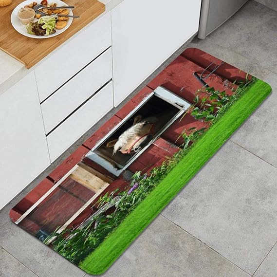 PANILUR Alfombras para Cocina Baño de Cocina,Granja Fotografía Hierba