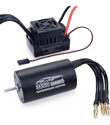 Amazon.com: Kyosho Le Mans 240S Brushless Motor for 2WD 19.5T