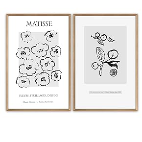 SIGNWIN Framed Wall Art Print Set Drawing of...