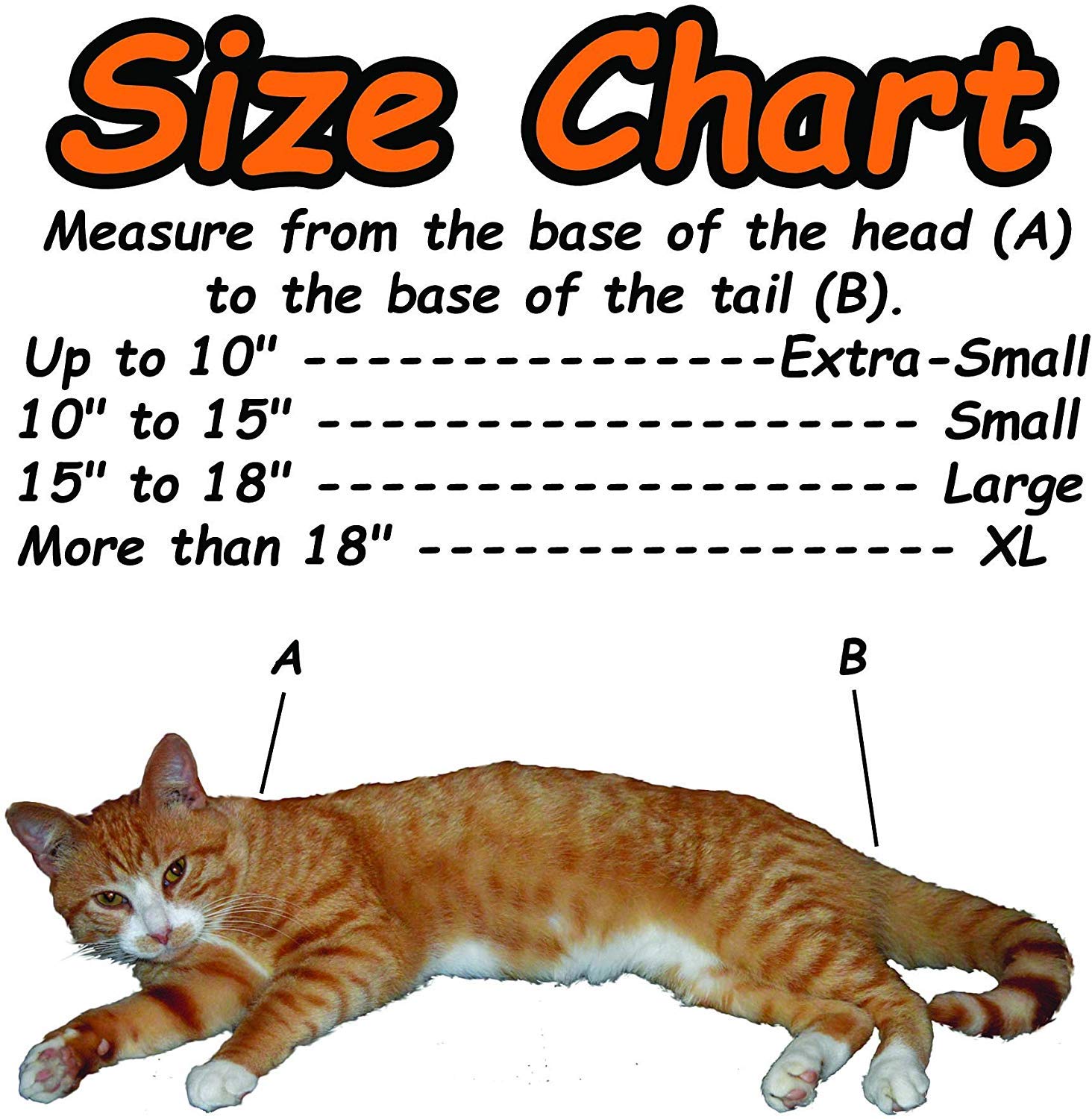 cozy comfort carrier