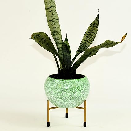 HINS Green White Print Designer Metal Round Shape Flower Plant Pot For Indoor Plants (with stand) Metal Pots For Indoor Plants I Elevated Garden Planter I Raised Planter I Desk Plant I Raised Planter Box I Ascent Homes Metal Planter I Raised Planter Box With Legs I Brass Pots For Indoor Plants I Golden Planter I Mid Century Plant Stand I Brass Planters For Indoor Plants I Indoor Plant Stand For Living Room I Metal Planters Pot For Indoor Plants designer pots fo