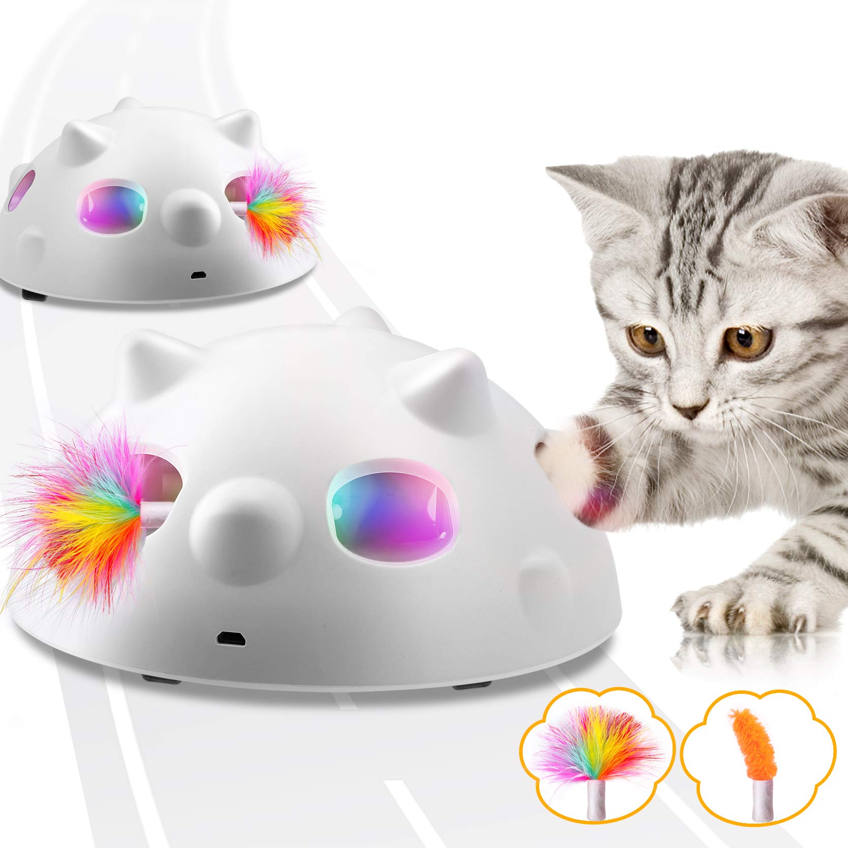 programmable cat toy