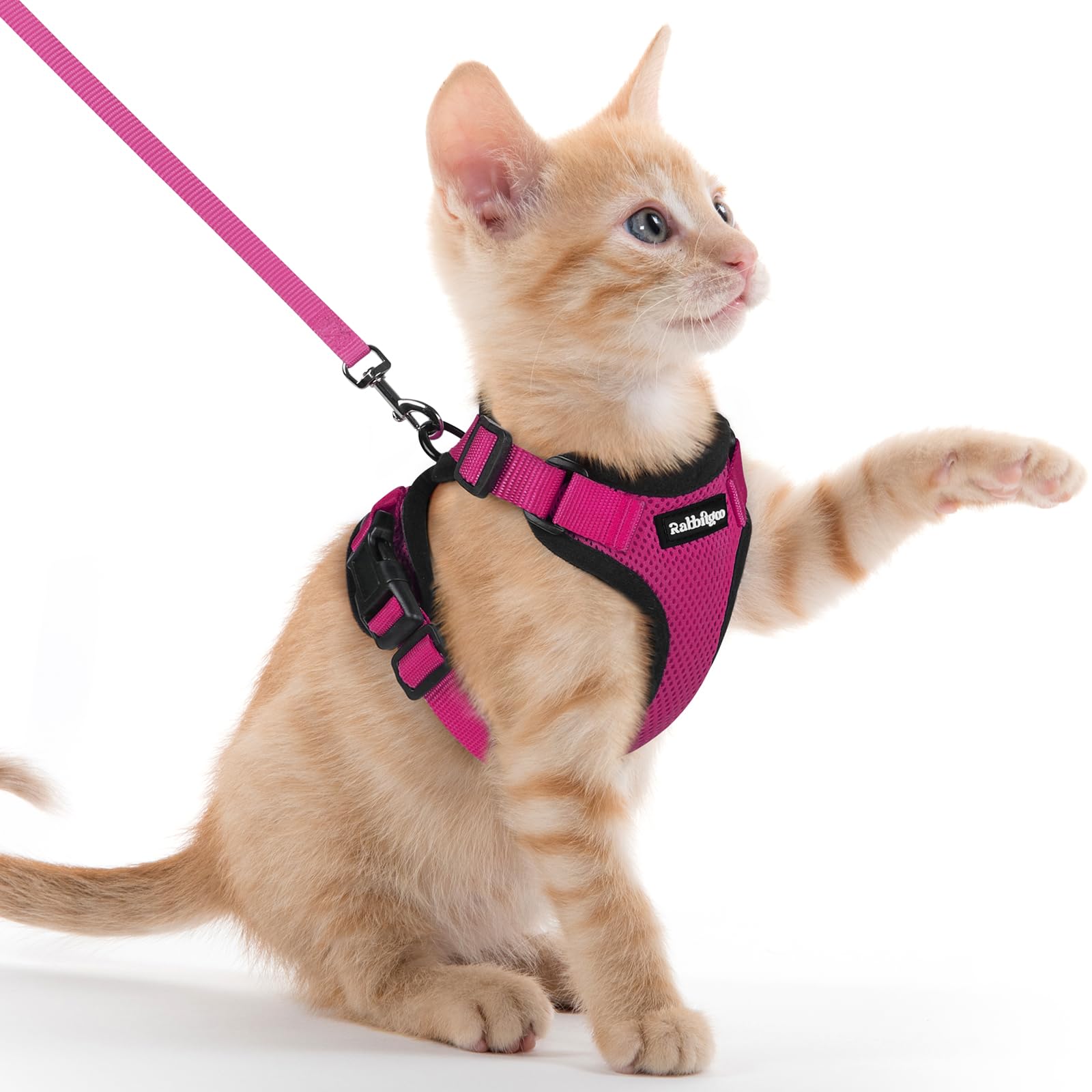 rabbitgoo Cat Harness and Lead Set, Adjustable Escape Proof Cat Lead for Walking, Reflective Kitten Harness Set, Soft and Comfortable for Kittens and Small Cats, Rose Red, XXS