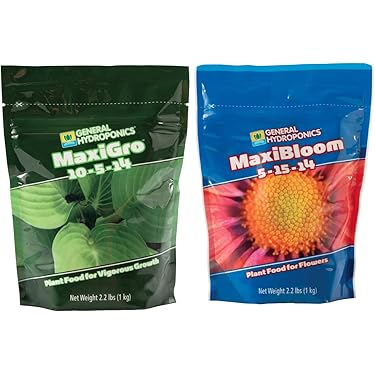 best soil to plant succulents Succulent & Cactus Soil - 4 Quarts main image 1