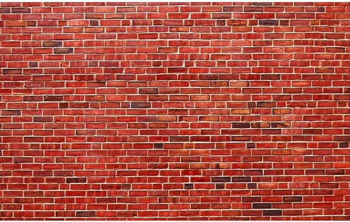 Amazon 16 W X10 H フィート 赤レンガ壁 写真 背景 ビンテージ風 ブロックテクスチャ シームレスクロス 写真スタジオ 背景 バックペーパー 背景布 通販