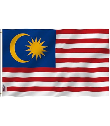 Amazon.com : DANF Singapore Flag 3x5 Foot Flags Singaporean