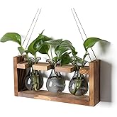 Plant Propagation Station Plant Terrarium Unique Birthday Gifts for Women Home Office Decor Planter with Wooden Stand - 3 Bulb Glass Vase