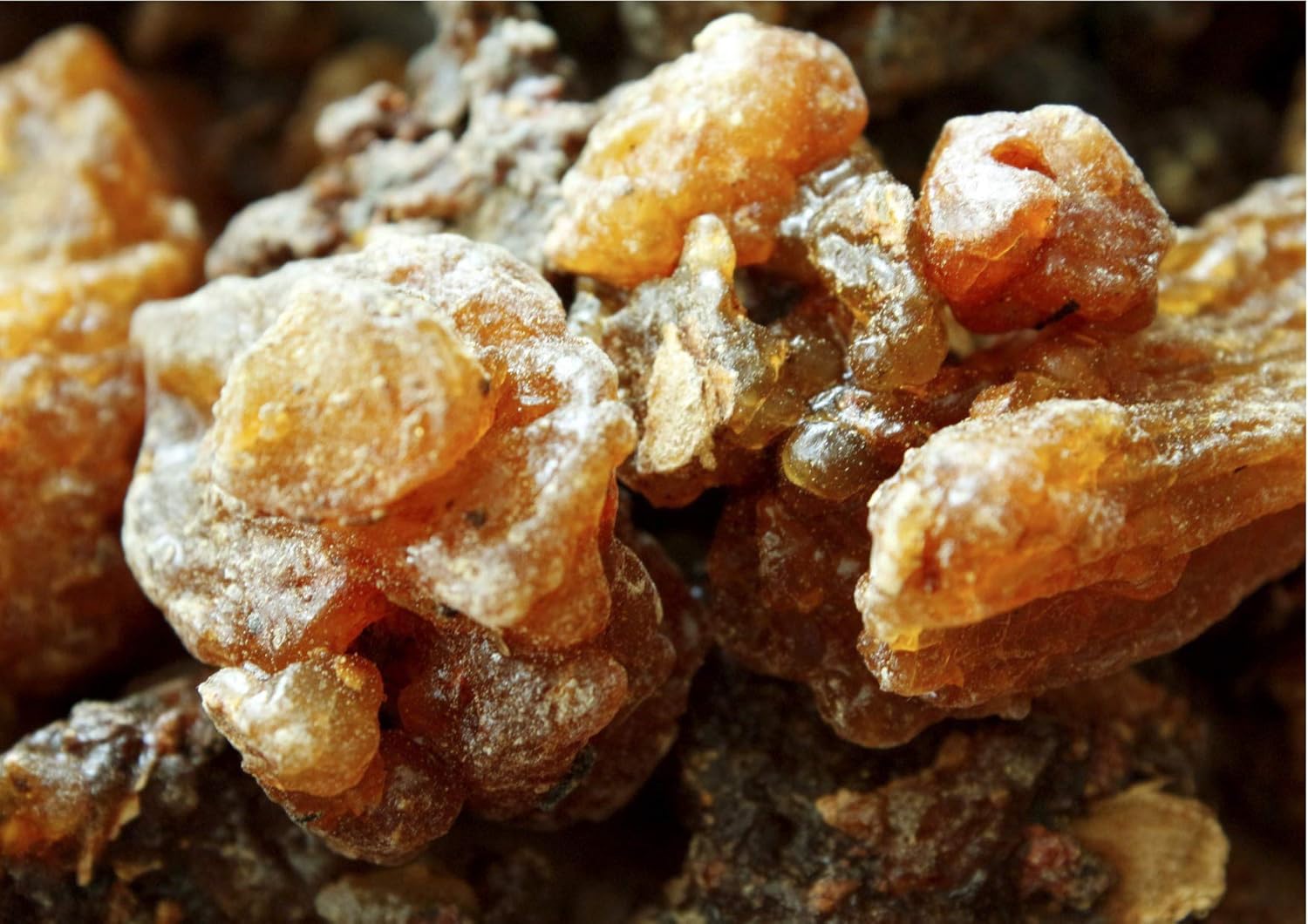Oman ロイヤルフランキンセンスブランド認定オーガニックミルラ樹脂 Commiphora Myrrha 1 2 Lb ブラウン B07nkprr 1 Oman ロイヤルフランキンセンスブランド認定オーガニックミルラ樹脂 Commiphora Myrrha 1 2 Lb ブラウン B07nkprr 1