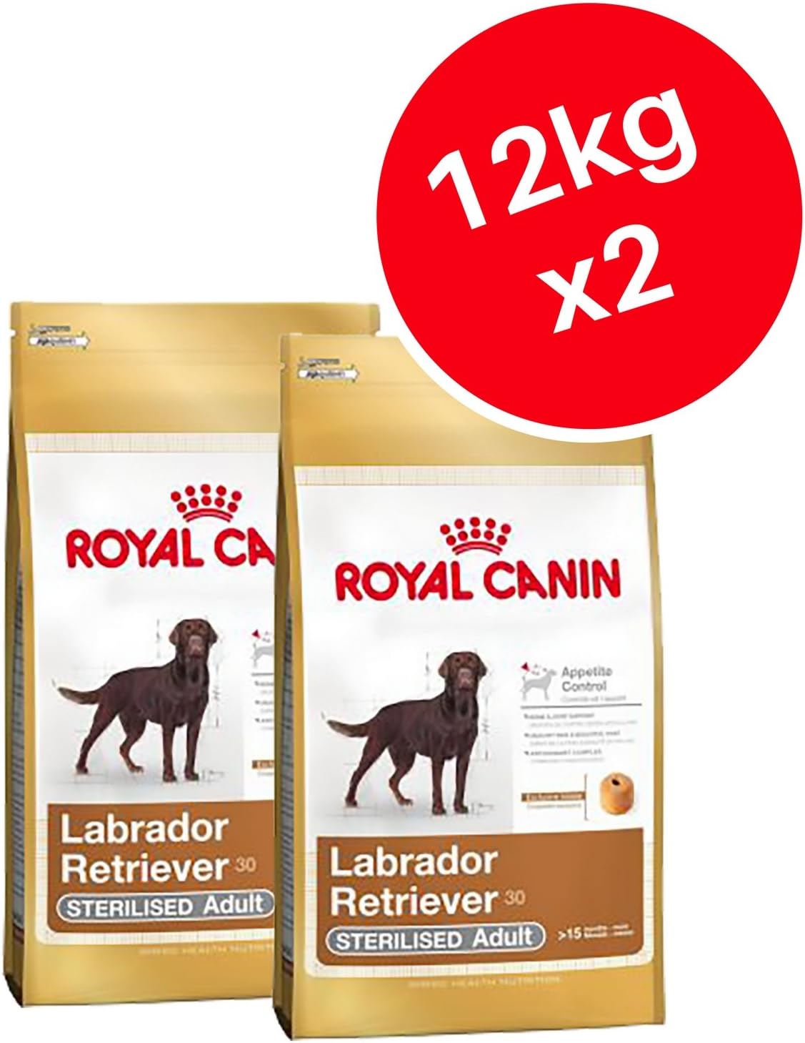 labrador retriever sterilised