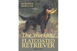 The Working Flatcoated Retriever