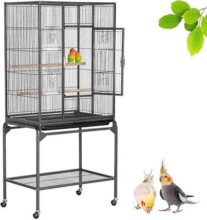 rat bird cage