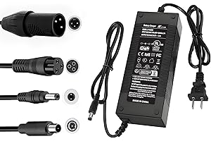 BROKEIR UL Certified 54.6V 2A Fast Electric Bike Charger for 48V Ebike Battery - Compatible with Lectric XP 2.0/3.0, Ecotric City/Beach, Evercross H5/H7