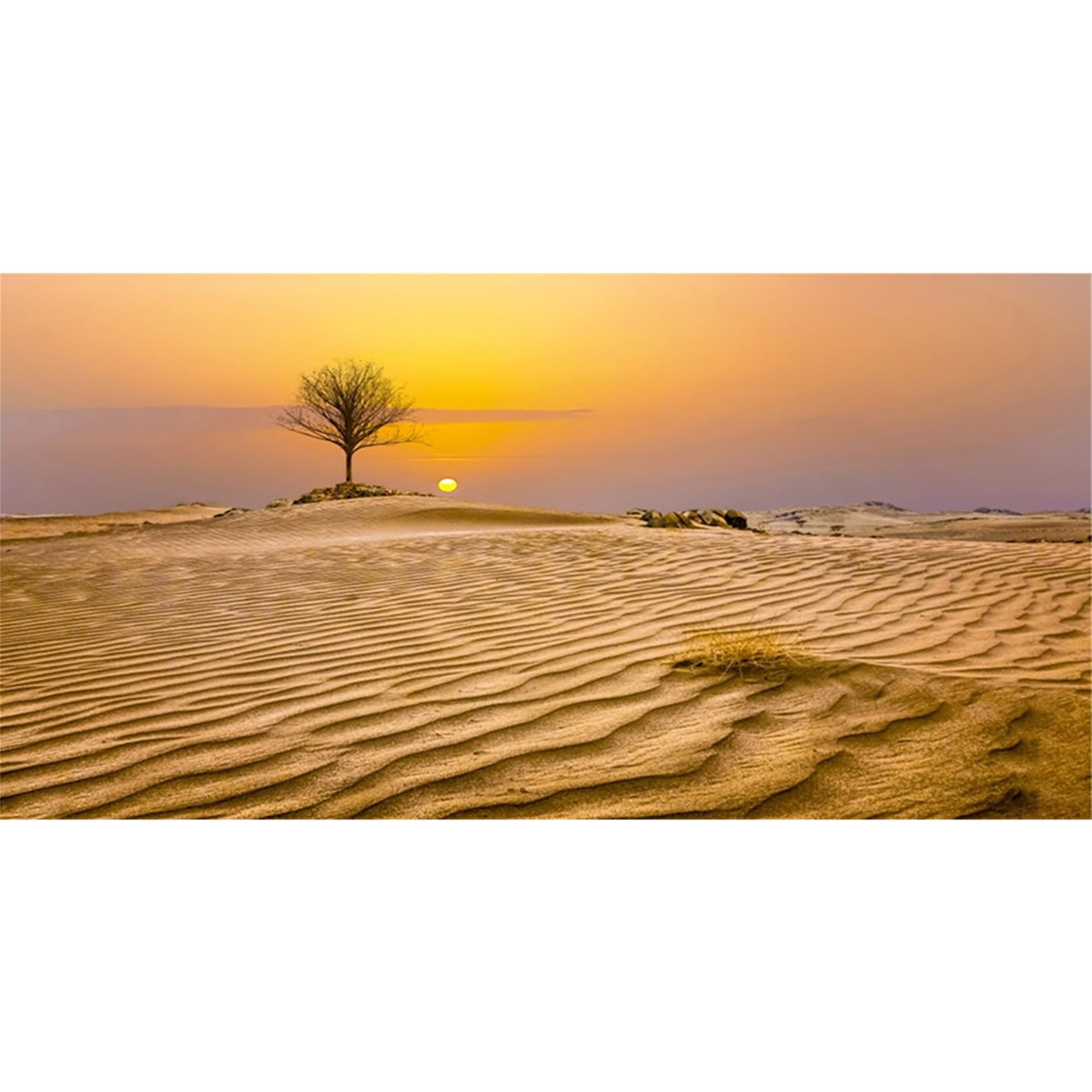 MIRRORANG 91x50cm Sun and Desert Terrarium Background Tree Oasis Gobi Reptile Habitat Background Durable Vinyl Background