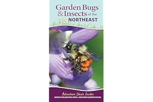 Garden Bugs & Insects of the Northeast: Identify Pollinators, Pests, and Other Garden Visitors