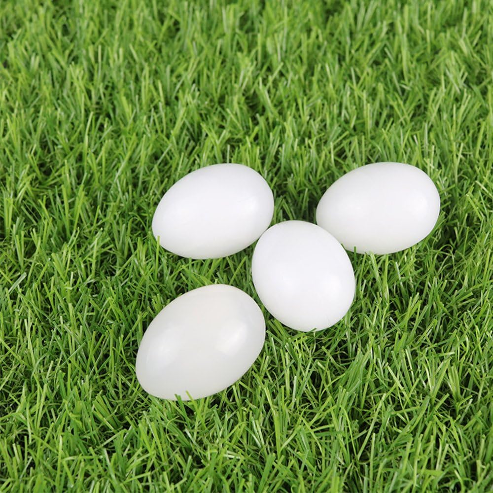 5 pcs Fake Pigeon Eggs for Hatch