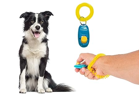 Sage Square Pet Training Clicker with Wrist Strap for Dog/Cat/Kitten/Puppy/Bird (Blue)
