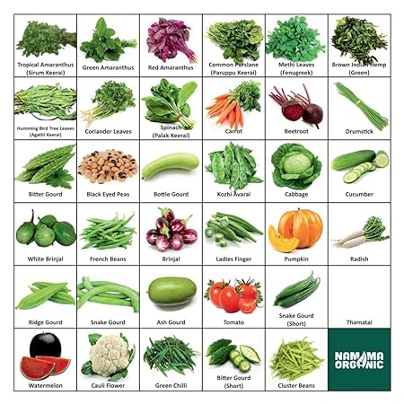 Namma Organic 36 Varieties (1800+ Seeds) Of Quality (Organic) Fruits & Vegetables Seed For Kitchen/Terrace/Poly House Garden