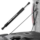 Rough Country Tailgate Assist for Ford F-150/F-250/F-350 Super Duty Truck 2WD/4WD (2015-2026) - Smooth, Safe & Controlled Tailgate Lowering
