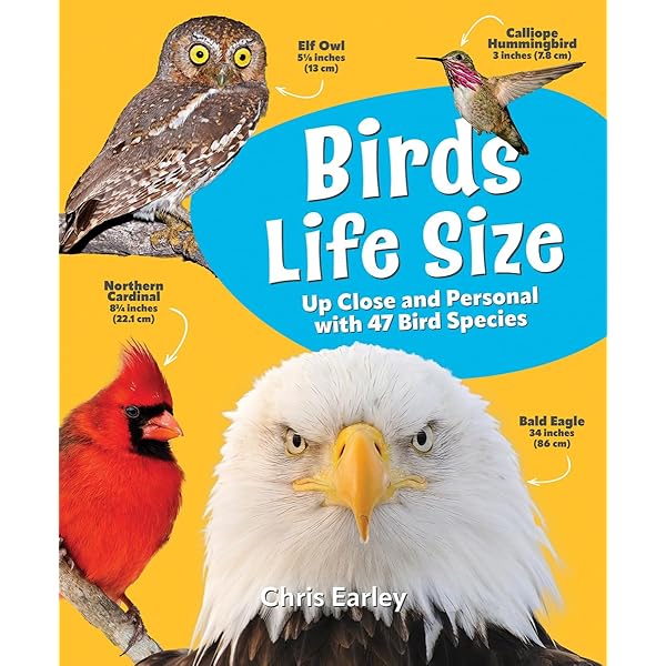 Life-Size Birds: The Big Book of North American Birds: Hajeski