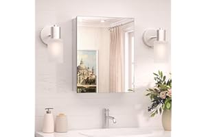 TokeShimi 16x20 Recessed Medicine Cabinet with Mirror Aluminum, Tempered Frameless Bathroom Mirror with Storage Adjustable, Silver Surface Mount Medicine Cabinet for Bathroom Farmhouse