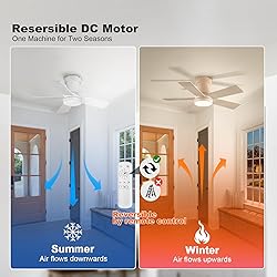 Ceiling Fans with Lights, 30 inch Low Profile