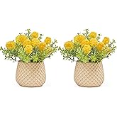 Fuxdre Fake Plants Small with 2 Pack, The Goleden Ball Flower for Bathroom Shelf Decor, Decorative Plants for Home Living Room Office Bedroom Table Tray Shelve Farmhouse Decor Indoor(Yellow)