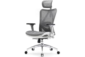 SIHOO M57 Ergonomic Office Chair with 3 Way Armrests Lumbar Support and Adjustable Headrest High Back Tilt Function Light Grey