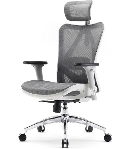 Amazon.com: SIHOO M59AS Ergonomic Office Chair, Desk Chair with 3D 