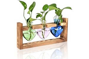 MTSIGNS Plant Terrarium Propagation Stations Hydroponics Home Garden Decoration Gift for Women with Wooden Stand Heart Shaped Colored Glass Vase