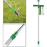 Distelstecher Distelstecher