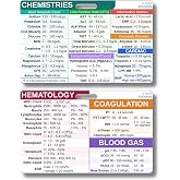 Lab Values Badge Card - Quick Clinical Reference Guide for Nurses | Essential Lab Values for Quick Access, Hematology, Coagulation, Blood Gas, Chemistries, Cardiac, Must-have for Nursing
