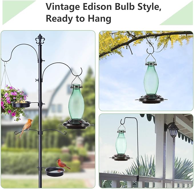 Amazon Com Bolite 18001 Hummingbird Feeder Glass Wild Bird