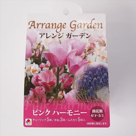 Amazon Co Jp 初心者向き球根セット アレンジガーデン ピンクハーモニー チューリップ ムスカリミックス 13球入 ホーム キッチン Amazon Co Jp 初心者向き球根セット アレンジガーデン ピンクハーモニー チューリップ ムスカリミックス 13球入 ホーム キッチン