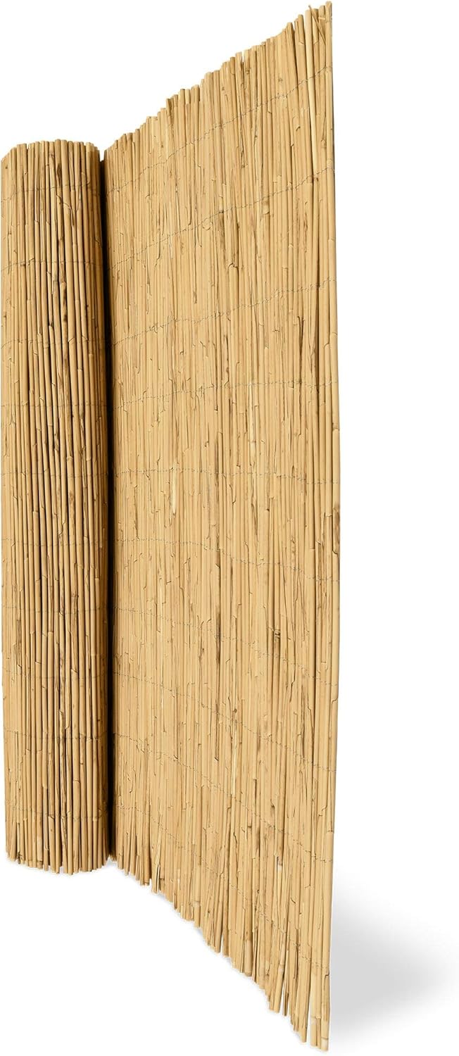 Sol Royal Sichtschutz Schilfrohr Premium 90x300cm (HxB) SolVision S36 Schilfmatte für Balkon oder Windschutz Blickschutz - Schilfrohrmatte als Sichtschutzmatte Natur aus dickem Schilf
