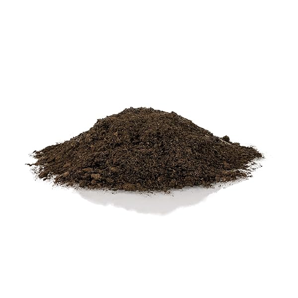 PREMIUM NATURAL SPHAGNUM PEAT MOSS – GARDENING SOIL AMENDMENT AND CARNIVOROUS PLANT SOIL MEDIA BY GARDENERA (3 QUART BAG)