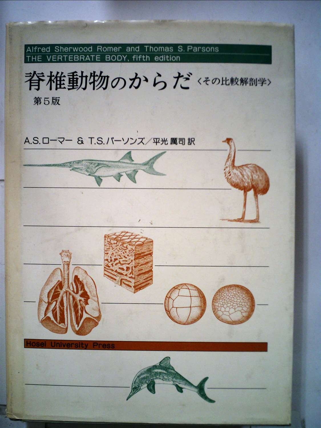 脊椎動物のからだ その比較解剖学 第5版 Berita Poldakaltim Com