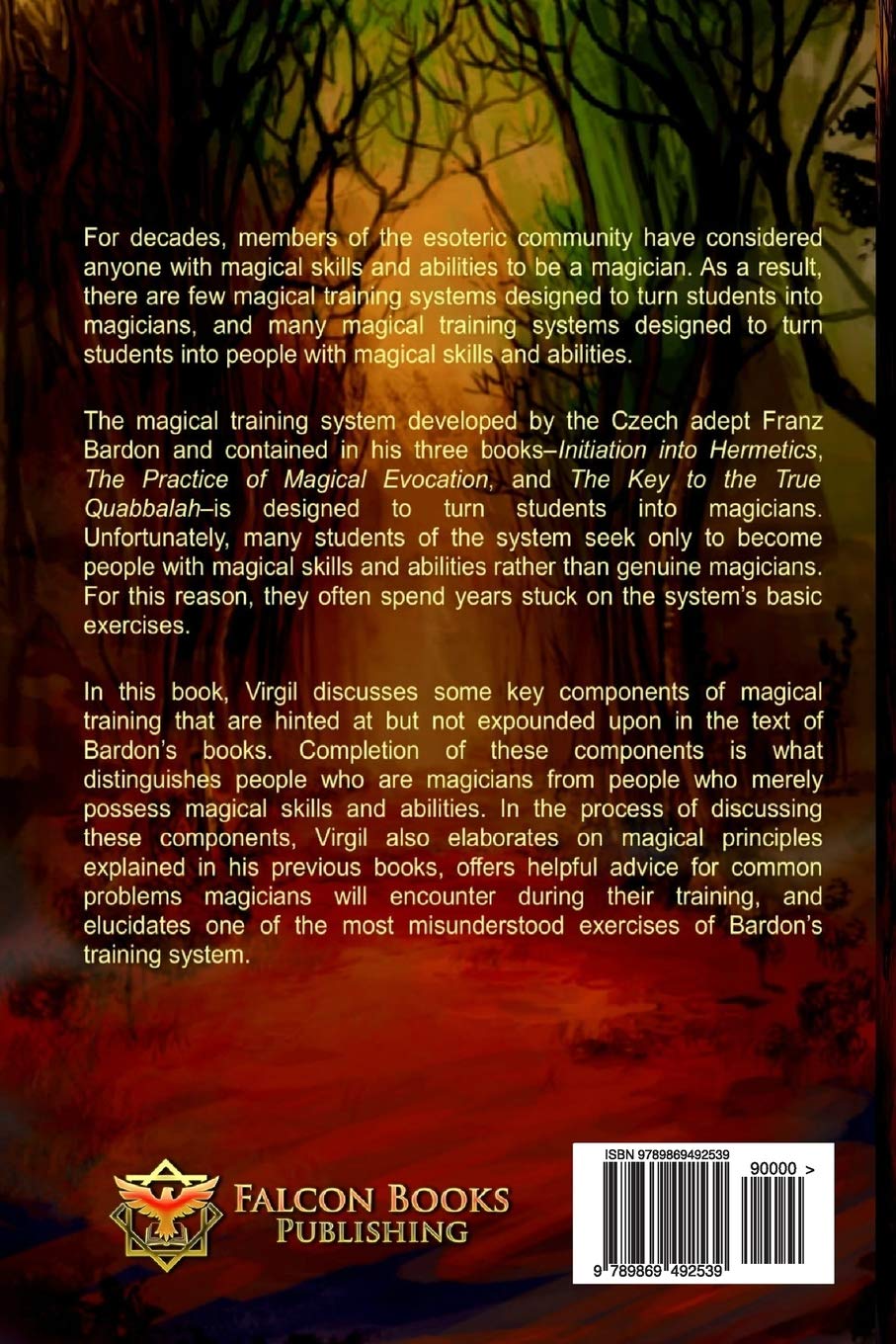 Amazon Com The Covert Side Of Initiation 9789869492539 Virgil Balash Rostik Books