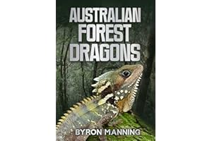 Australian Forest Dragons