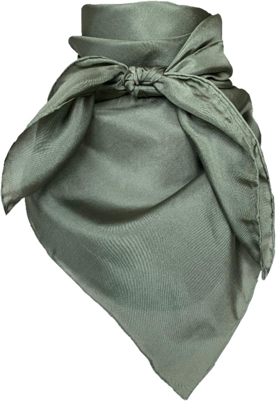 Wyoming TradersMen's Solid Lightweight Breathable Casual Regular Silk Scarf