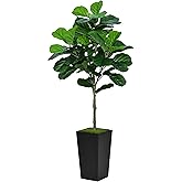 ASTIDY Fiddle Leaf Fig Tree Artificial 5FT - Faux Plant With Black Tall Planter - Fake Ficus Lyrata Floor Plant in Pot for Home Office Living Room Decor Indoor