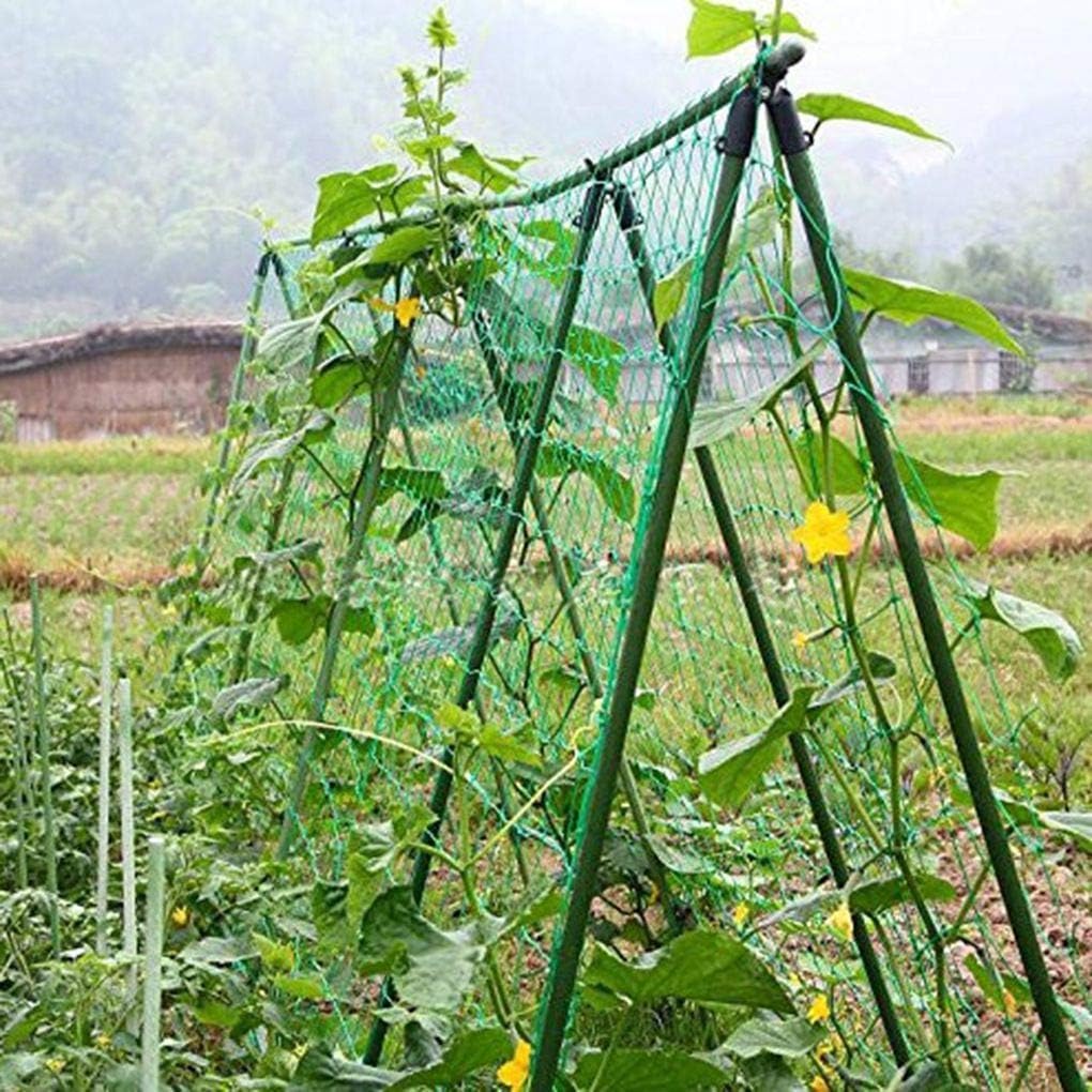 Huerto de nylon verde Trellis Soporte planta de frijol Nets Red de ...