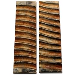 Buffalo Horn Handle Scales