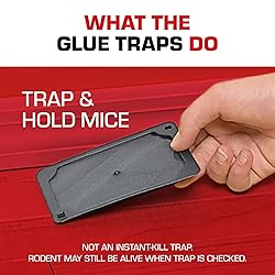 Tomcat Glue Traps Mouse Size with Eugenol for
